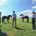 Développez vos compétences professionnelles avec un atelier equicoaching innovant